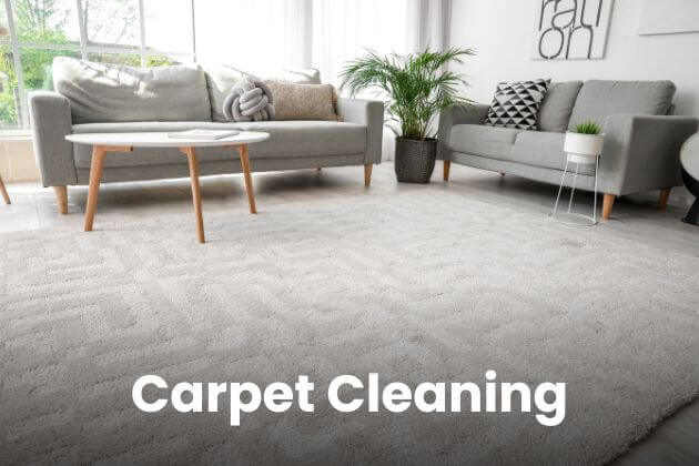 Expert care to maintain your carpets’ condition, keeping them stain-free and pristine